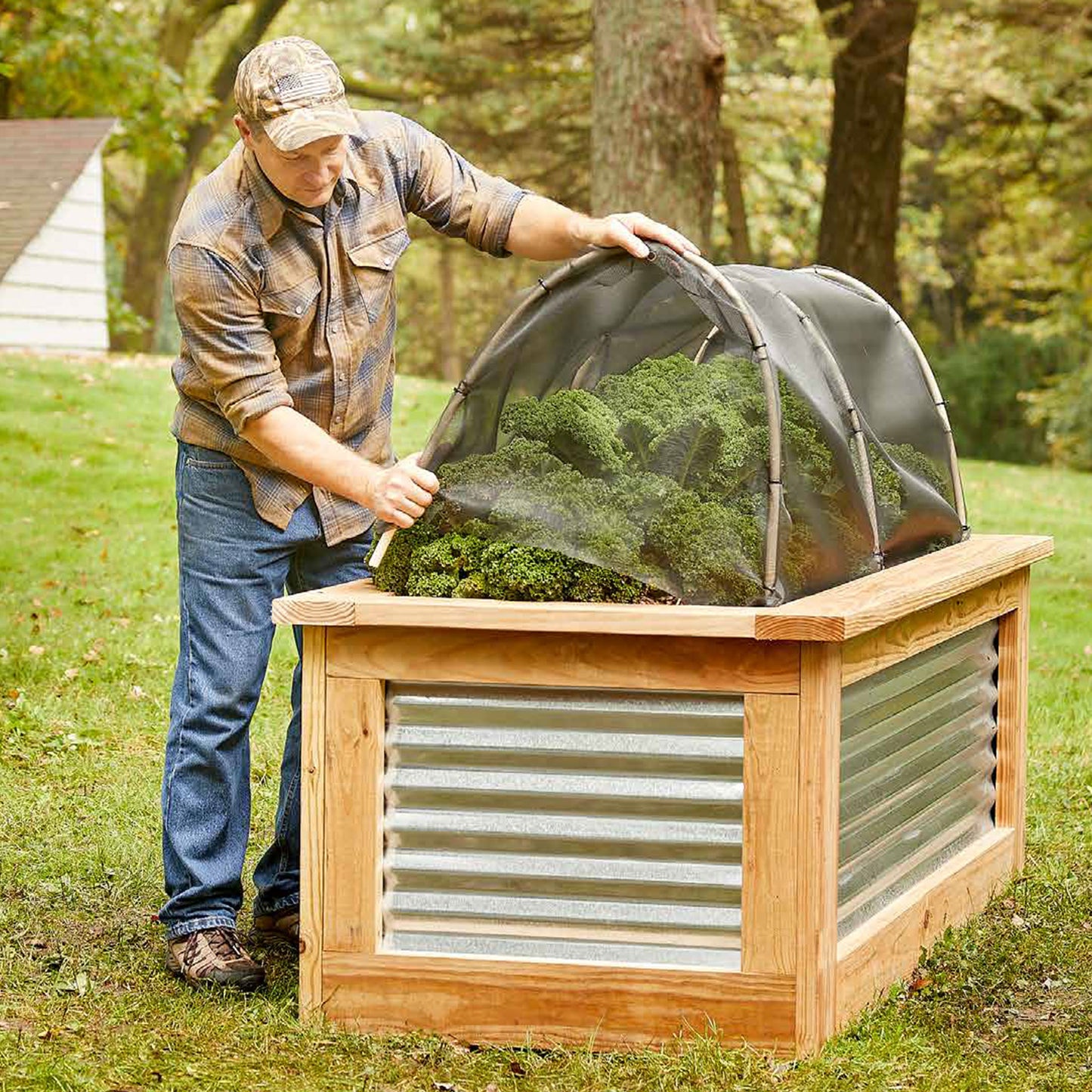 Raised Garden Beds