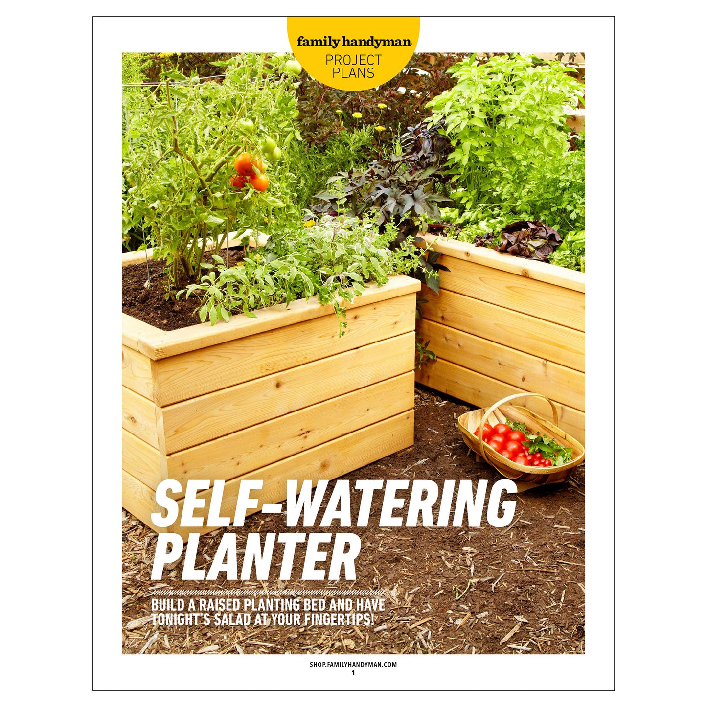 Self Watering Planter