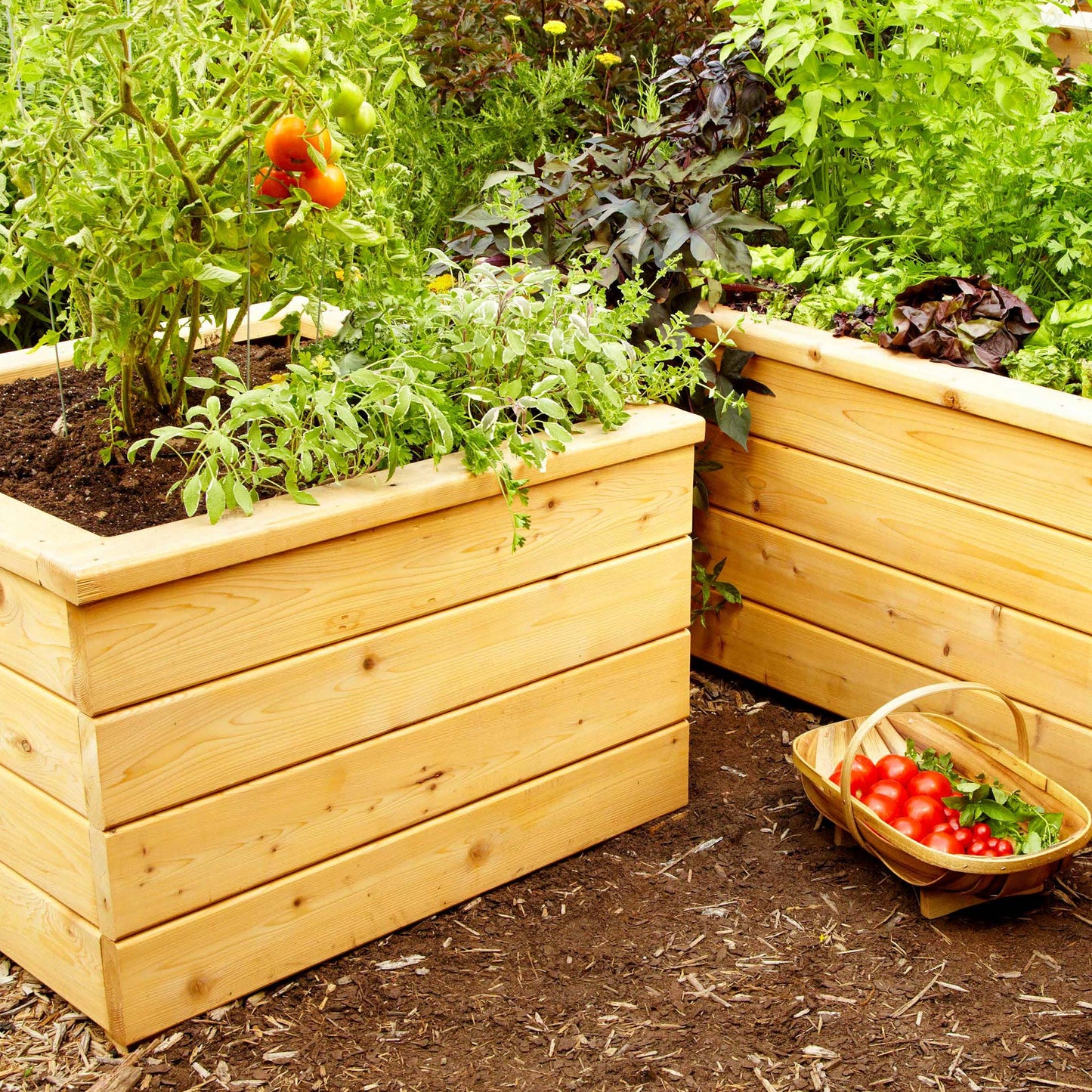 Self Watering Planter