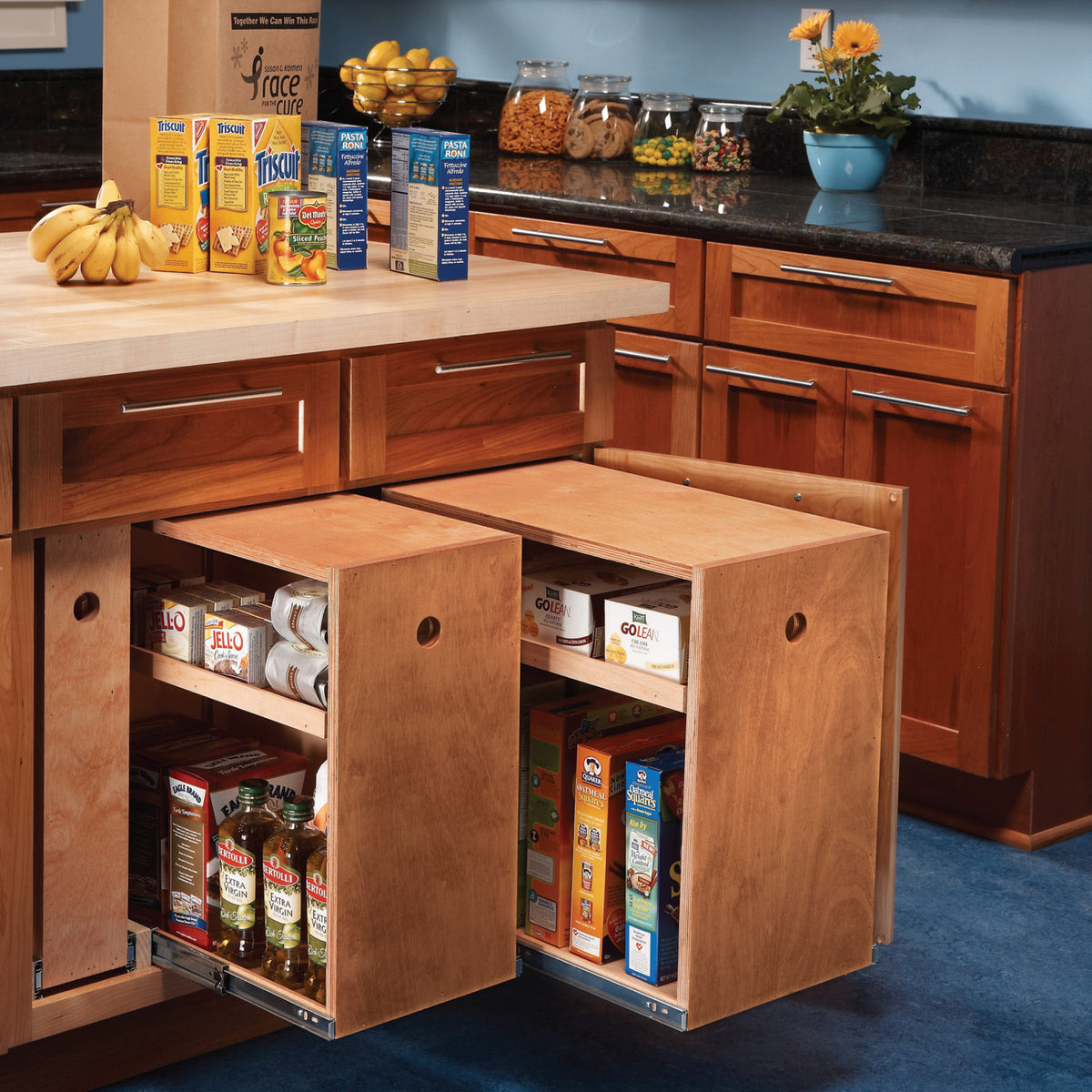 Kitchen Storage: Kitchen Cabinet Rollouts | Shop Family Handyman ...